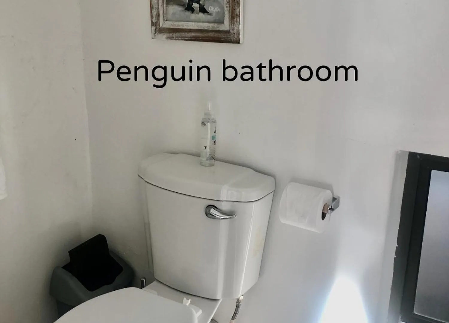 Ollava Guesthouse Simon's Town